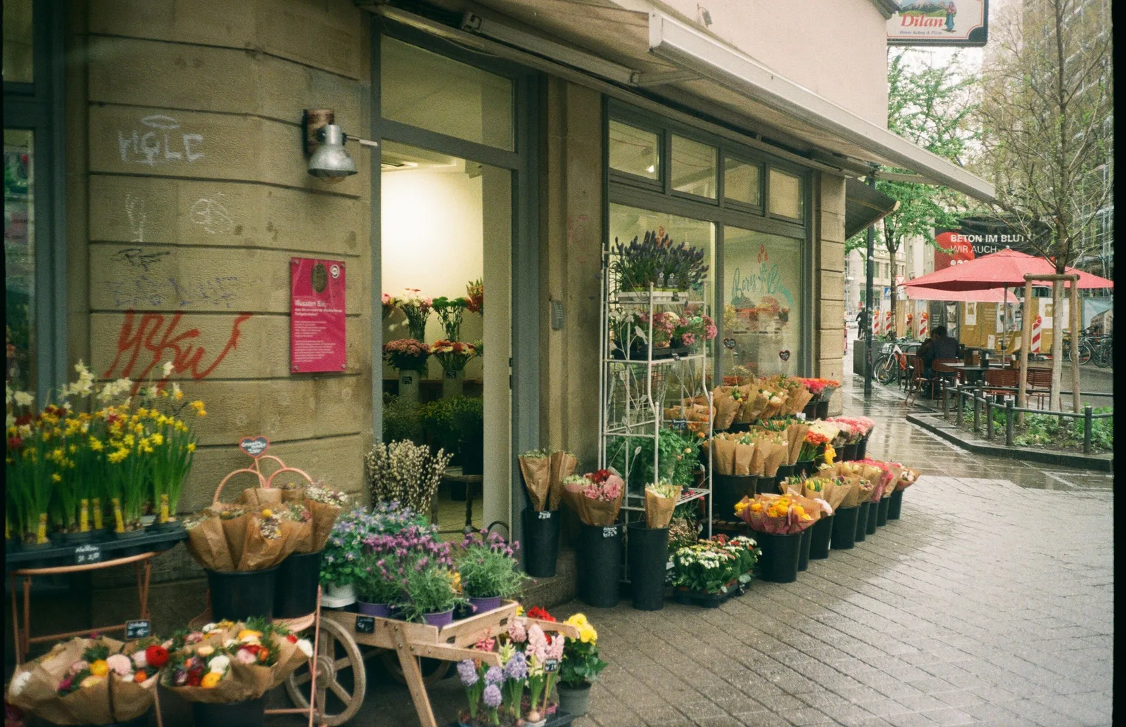 A flower shop front with buckets of tulips and mixed blooms displayed on the pavement outside the glass windows