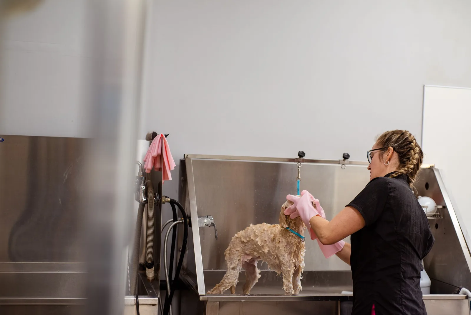 A groomer in a black uniform washing a small curly-haired dog in a steel bath at a grooming salon